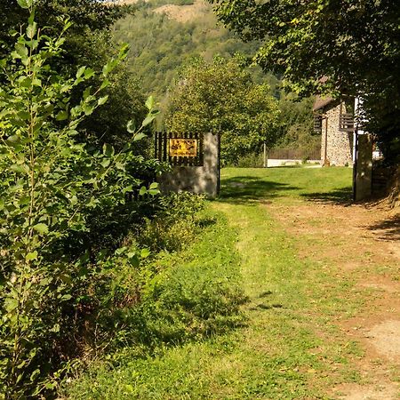 Casa Valea Prejbei Villa Rau Sadului Exterior photo